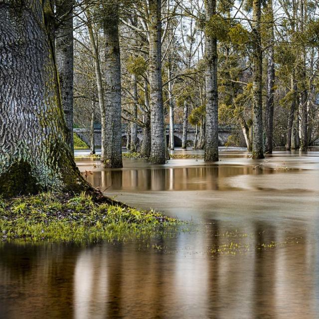 Instagram #bagnolesdelorne