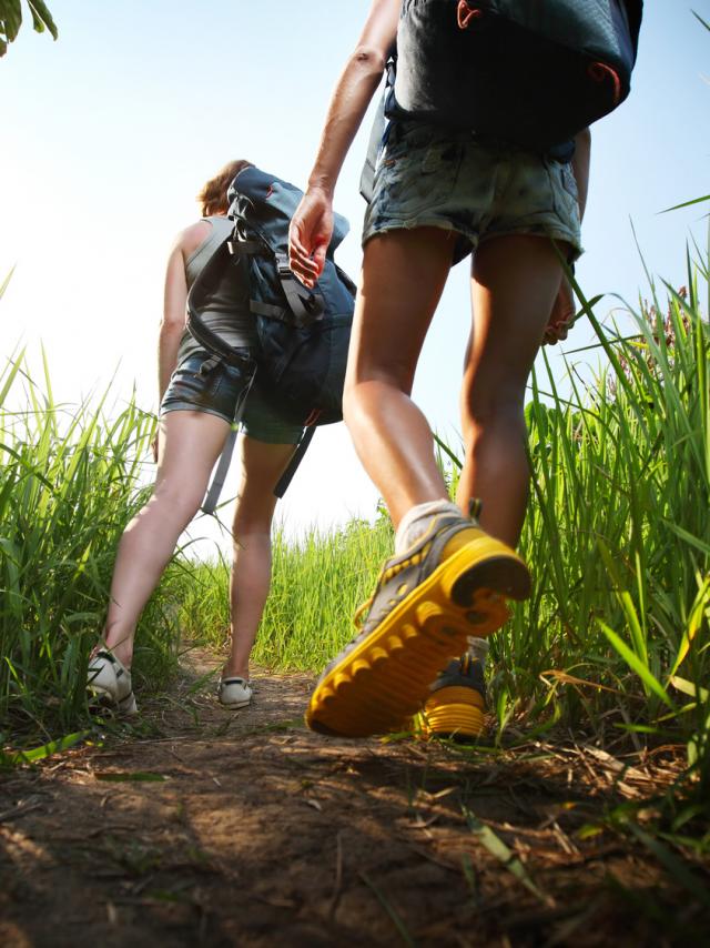 Two hikers with backpacks walking through lush green meadow