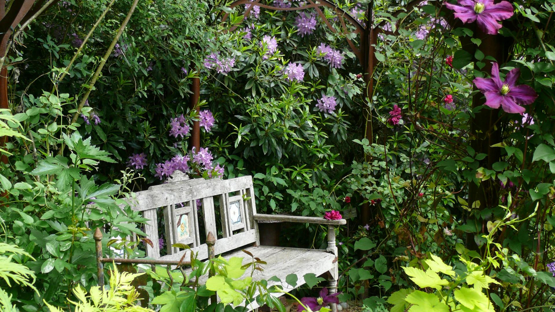 Bagnoles Orne Jardin Retire Fleur Nature Plante Arbre Remarquable Annie Blanchais 5
