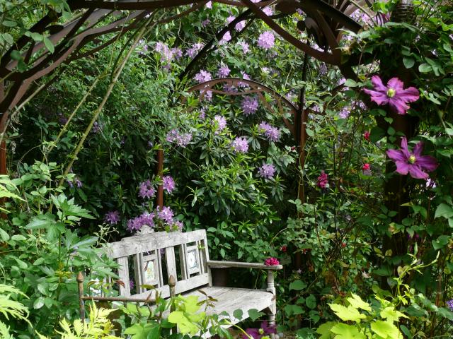 Bagnoles Orne Jardin Retire Fleur Nature Plante Arbre Remarquable Annie Blanchais 5