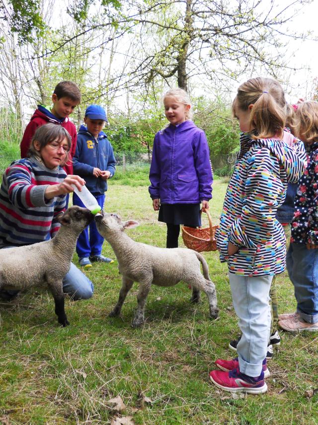 Bagnoles Orne Pom Producteur Cidre Terroir Pomme Jus Savoir Faire Visite Ferme Mouton