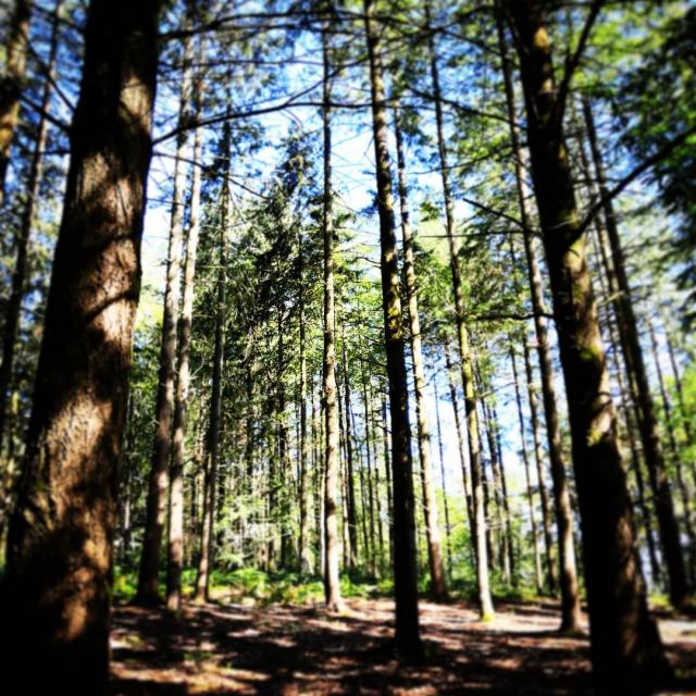 Instagram #bagnolesdelorne