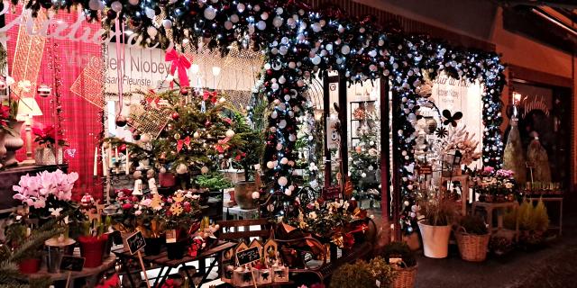Bagnoles Orne Noel Illuminations Fetes Vitrine Fleur Sapin Atelier Victor