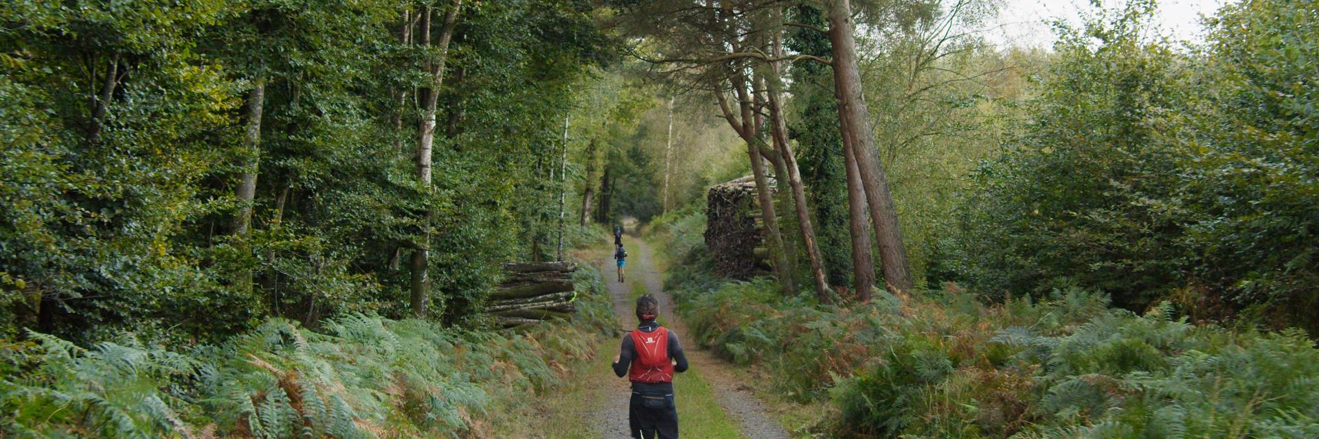 Bagnoles Orne Normandie Trail Course Coureur Traileur Ultra Jour