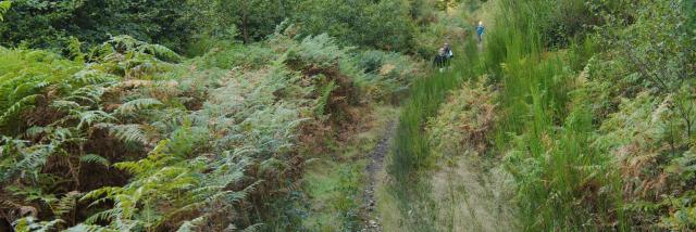 Bagnoles Orne Normandie Trail Course Coureur Traileur Ultra Jour 2