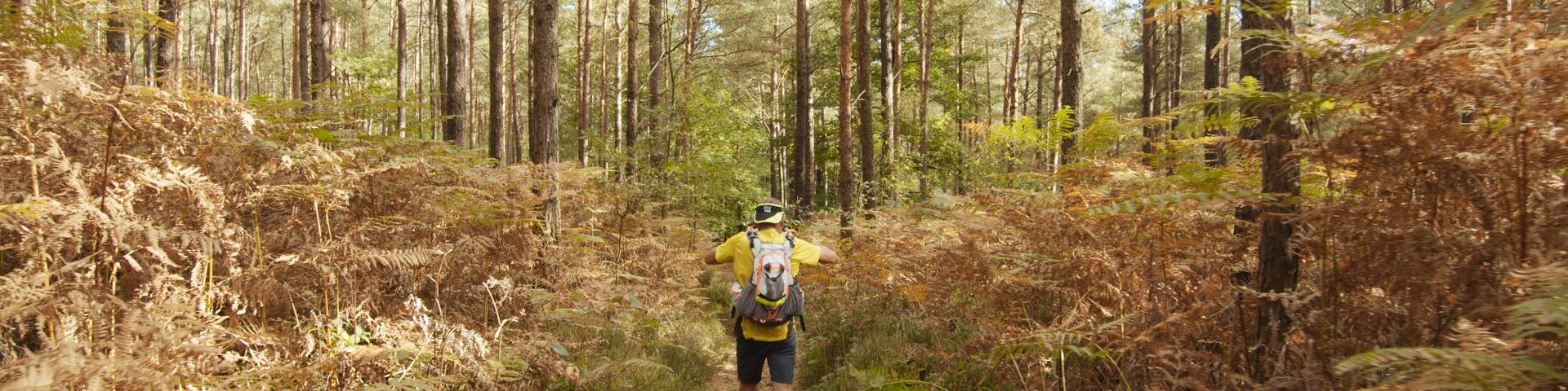 Bagnoles Orne Normandie Trail Course Coureur Traileur Ultra Jour 5