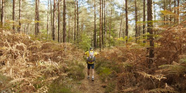 Bagnoles Orne Normandie Trail Course Coureur Traileur Ultra Jour 5