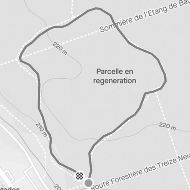 Bagnoles Orne Normandie Challenge Concours Trail Strava Parcours Forestier Course Pieds Rapidite Circuit 1 Noir Blanc