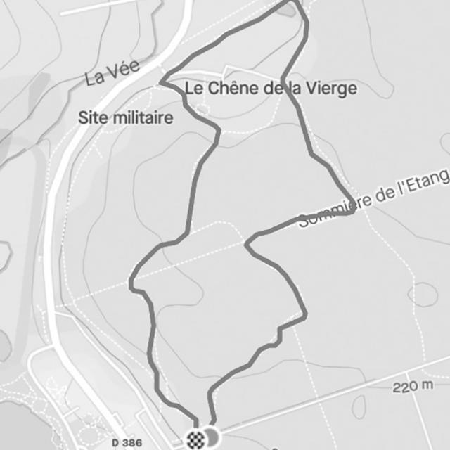 Bagnoles Orne Normandie Strava Challenge Concours Trail Boucle 5 Chene Vierge Rapidite Noir Blanc Termine