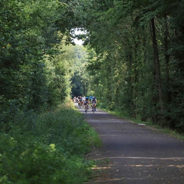 Instagram #bagnolesdelorne