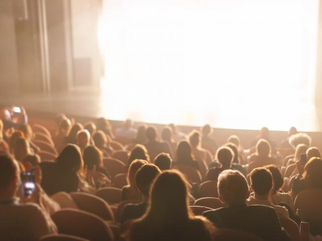 audience at the theater watching a play