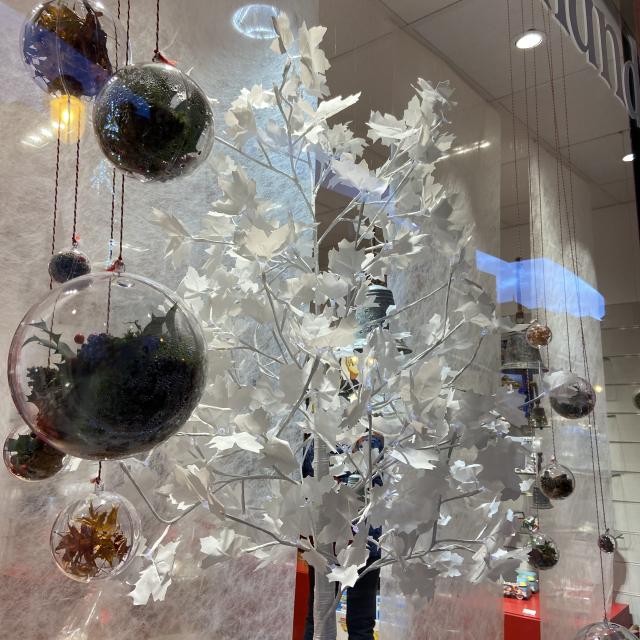 Bagnoles Orne Bebagnoles Illuminations Vitrine Lonlay Labbaye 2022