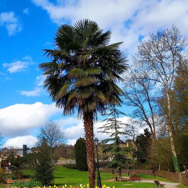 Instagram #bagnolesdelorne