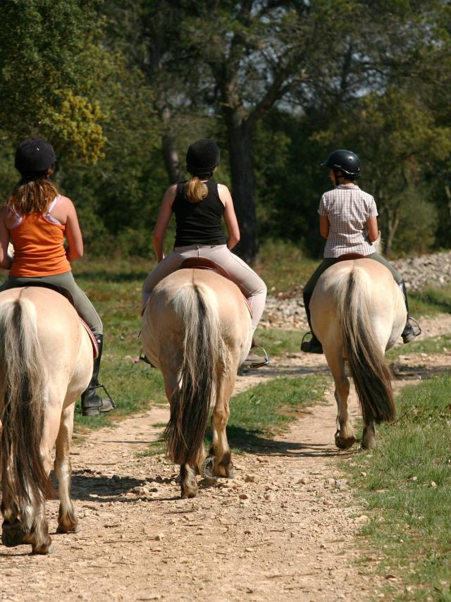 Bagnoles Orne Bebagnoles Seminaire Equi Management Tourisme Affaires