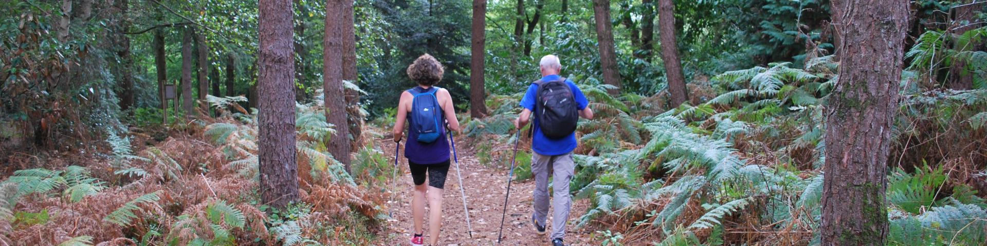 Bagnoles Orne Bebagnoles Foret Batons Bnt22