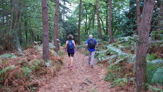 Bagnoles Orne Bebagnoles Foret Batons Bnt22