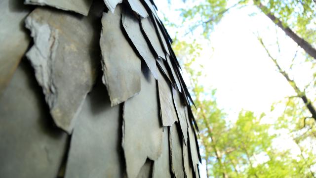 Bagnoles Orne Bebagnoles Camille Bellot Francois Pottier Exposition Estivale Ete Contemporain©bellot Pottier