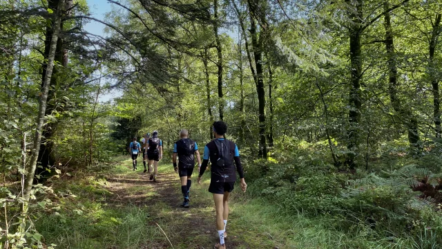 Bagnoles Orne Bebagnoles Bnt 2023 Normandie Trail Foret Coureurs Marcheurs Course