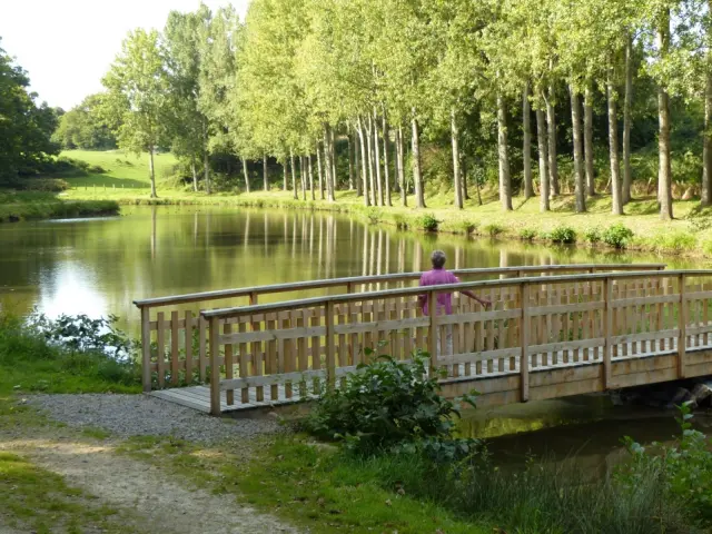 Saint Fraimbault Plan Eau Lac Pont Arbres Bocage