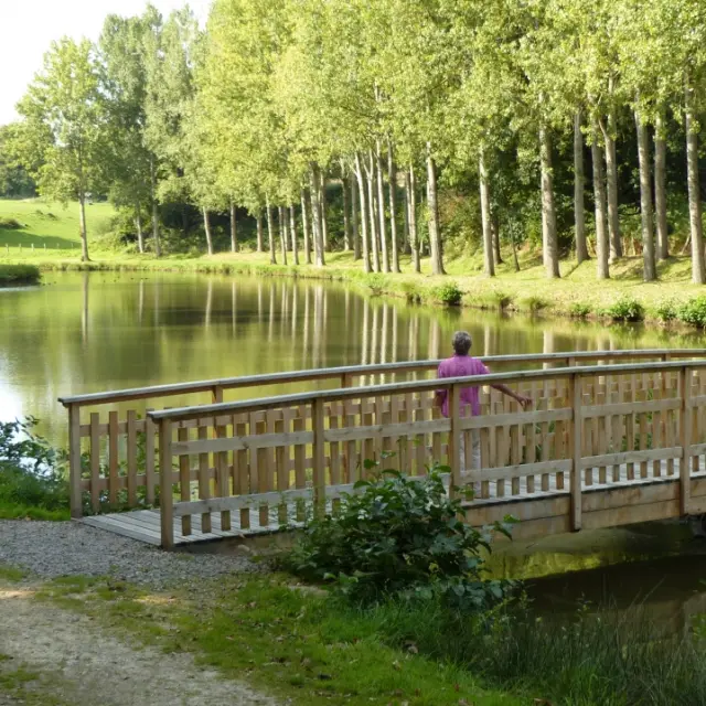 Saint Fraimbault Plan Eau Lac Pont Arbres Bocage