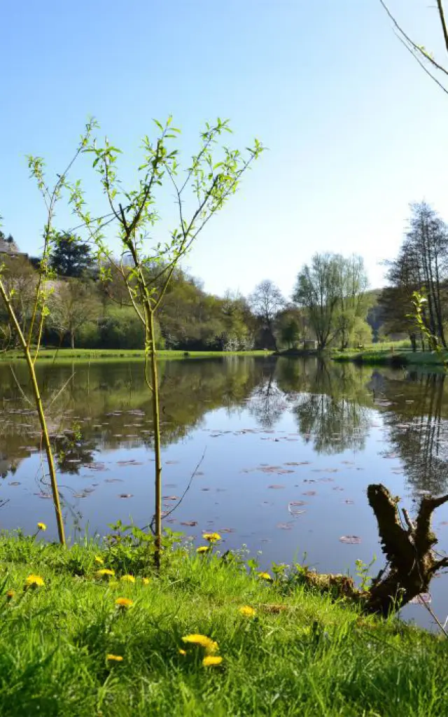 Tinchebray Bocage Lac Plan Eau Nature Domfront Bagnoles