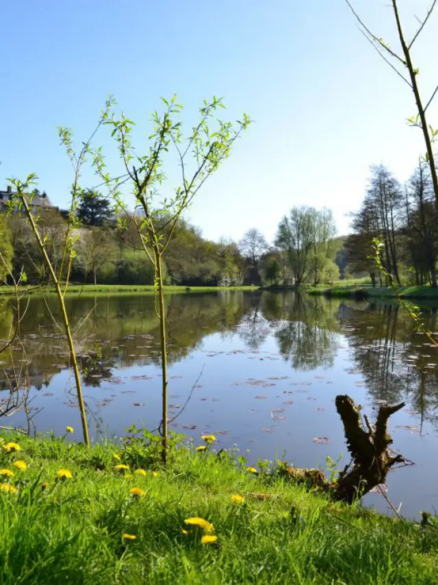 Tinchebray Bocage Lac Plan Eau Nature Domfront Bagnoles