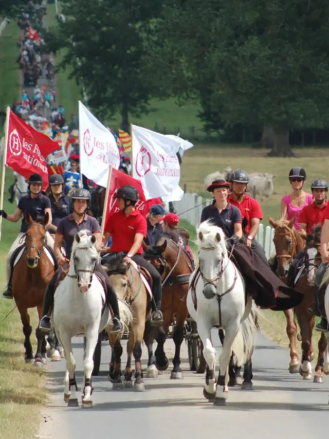 Equirando Cheval Rassemblement Bagnoles Orne Normandie Bocage Equestre2