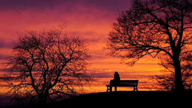 Bocage Destination Domfront Bagnoles Couche Soleil Nuit Orange Aurore Crepuscule Banc