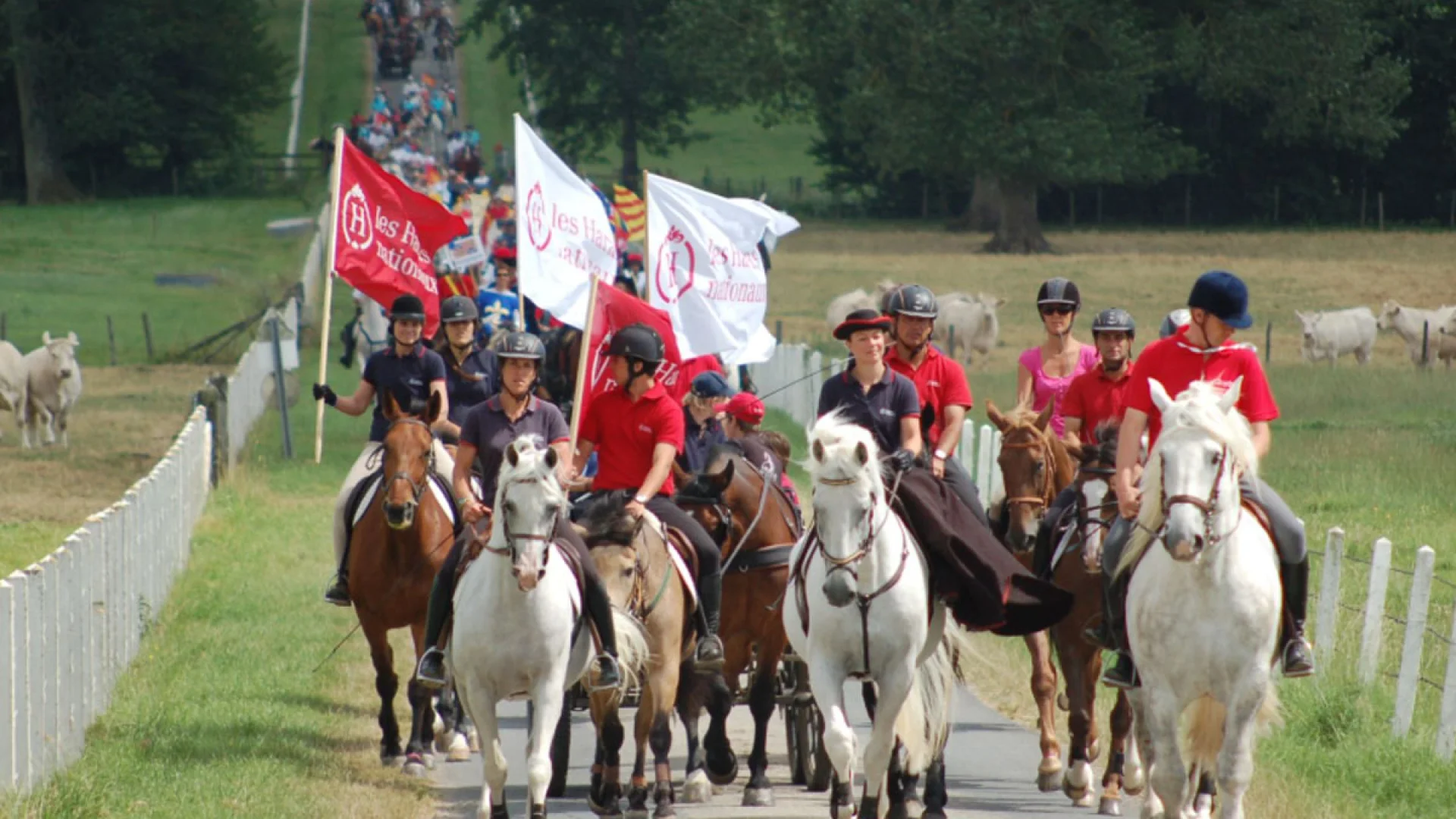 Equirando Cheval Rassemblement Bagnoles Orne Normandie Bocage Equestre2