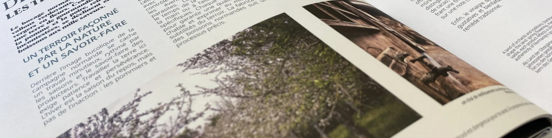 Bagnoles Bocage Domfront Magazine Tourisme Edition Print Destination Interieur Terroir 2025
