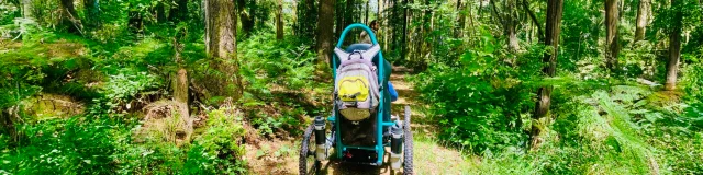 Bocage Destination Domfront Bagnoles Bnt25 Ftt Handispot Trail Tour