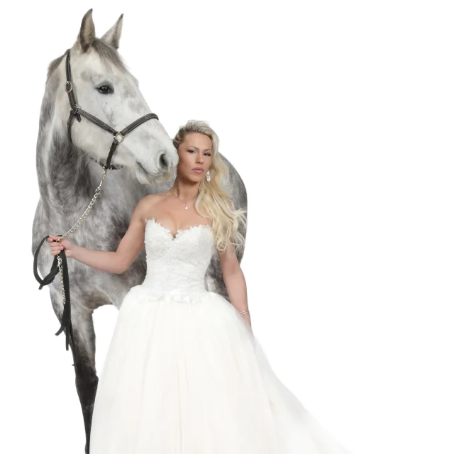 Bocage Destination Domfront Bagnoles Expo 2025 Royaume Pour Cheval Photo Christian Dupont Anna Idylle Lacotiere Fond Transparent