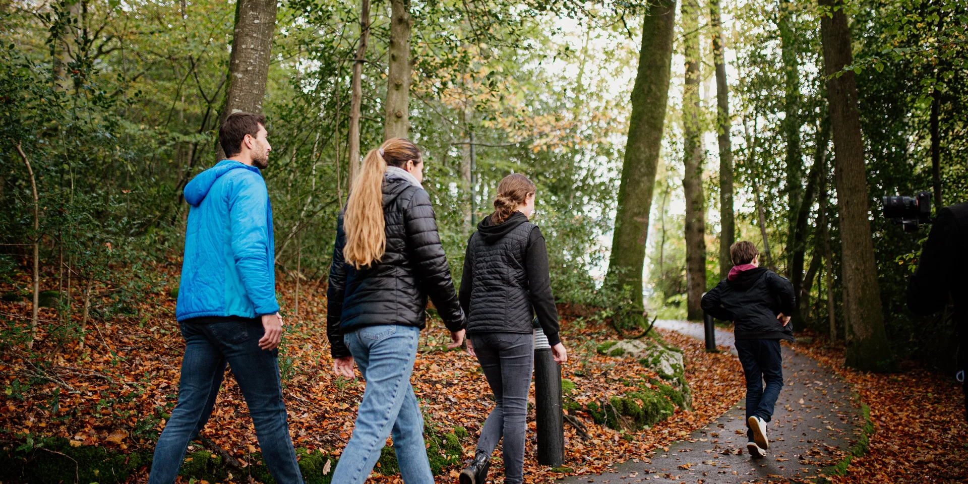 Bocage Destination Domfront Bagnoles Promenade En Foret En Famille Automne