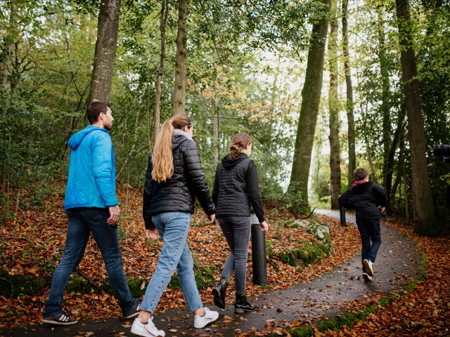 Bocage Destination Domfront Bagnoles Promenade En Foret En Famille Automne