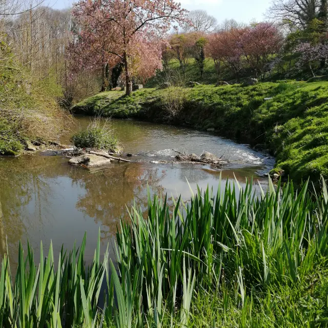 bocage-destination-domfront-bagnoles-saint-fraimbault-etang-lac-riviere