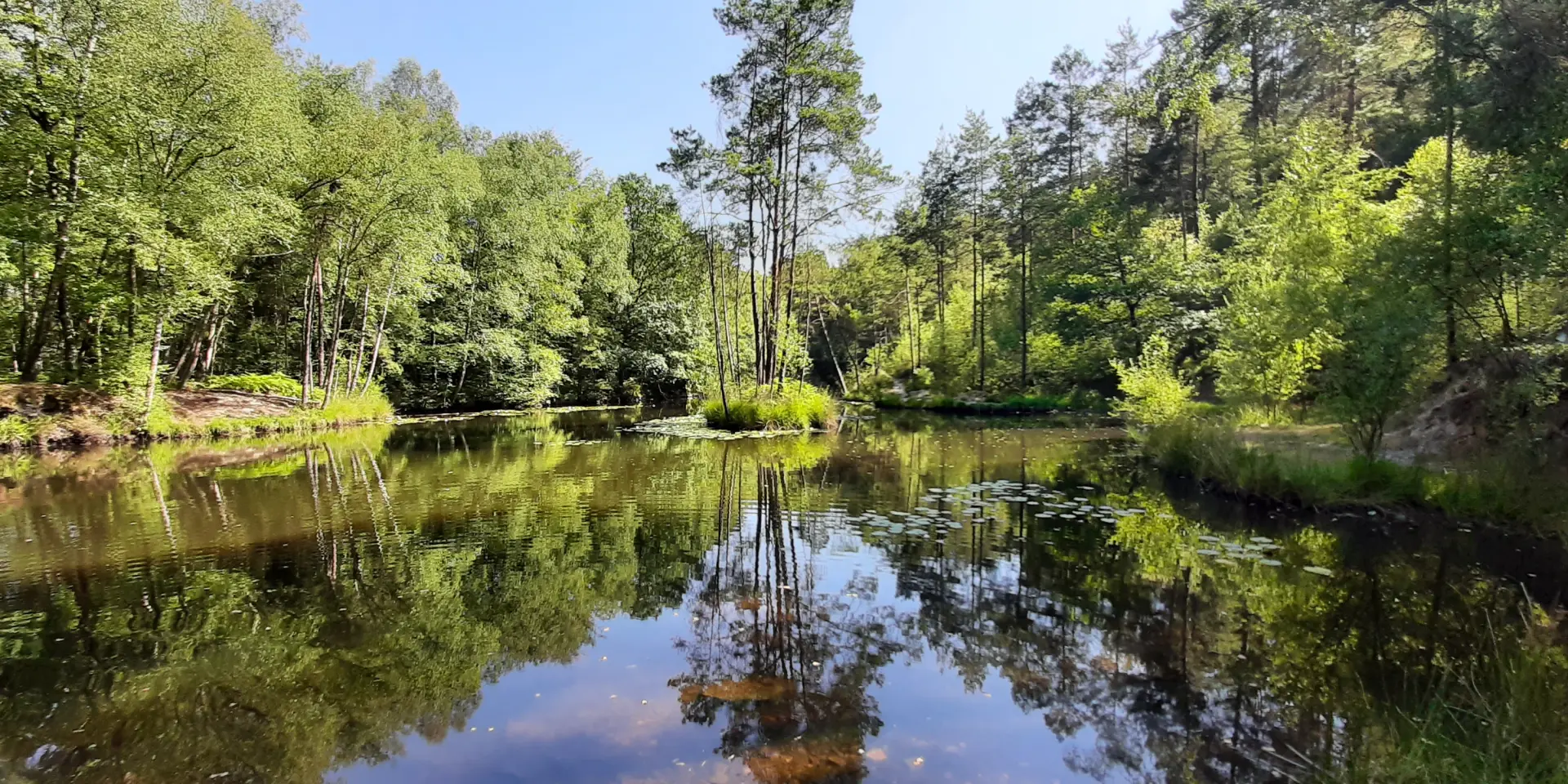 Bocage Destination Domfront Bagnoles Etang Brisette
