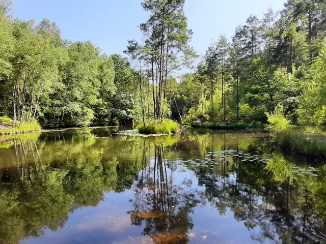 Bocage Destination Domfront Bagnoles Etang Brisette