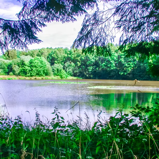 Nom du fichier :DSCN1181.JPG Taille du fichier :1.0 Mo (1062237 octets) Date de la prise de vue :2004/08/11 11:51:45 Taille de la photo :2048 x 1536 Résolution :72 x 72 ppp Nombre de bits :8 bits/canal Attribut de protection :Désactivé Attribut Masqué :Désactivé ID de l'appareil :N/A Nom du Modèle :E995 Mode de qualité :FINE Mode de mesure :Multizones Mode d'exposition :Programme auto Flash :Non Distance focale :8.2 mm Vitesse d'obturation :1/203 seconde Ouverture :F5.3 Correction d'exposition :0 IL Balance des blancs fixe :Auto Objectif :Intégré Mode synchro-flash :N/A Différence d'exposition :N/A Programme décalable :N/A Sensibilité :Auto Renforcement de la netteté:Auto Mode de courbe :N/A Mode couleur :COULEUR Compensation des tons :AUTO Latitude (GPS) :N/A Longitude (GPS) :N/A Altitude (GPS) :N/A