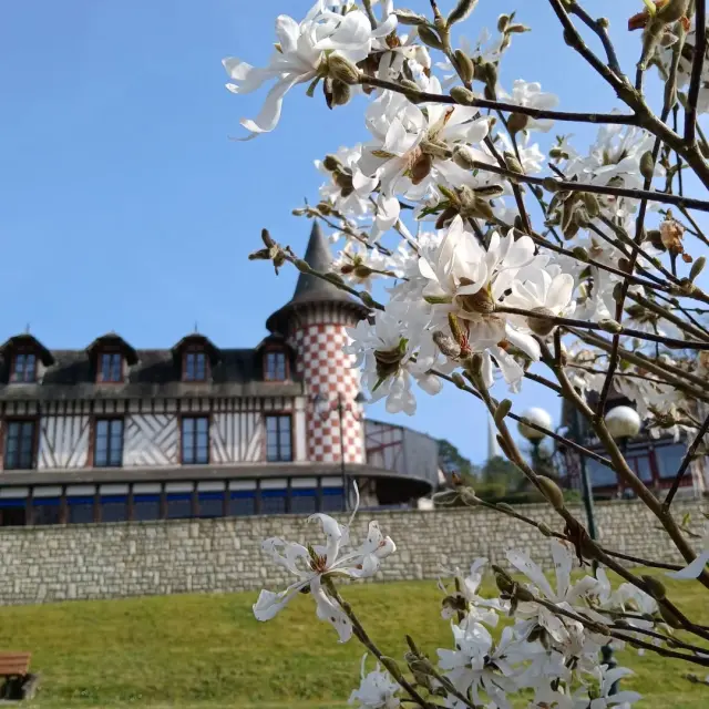 Instagram #bagnolesdelorne