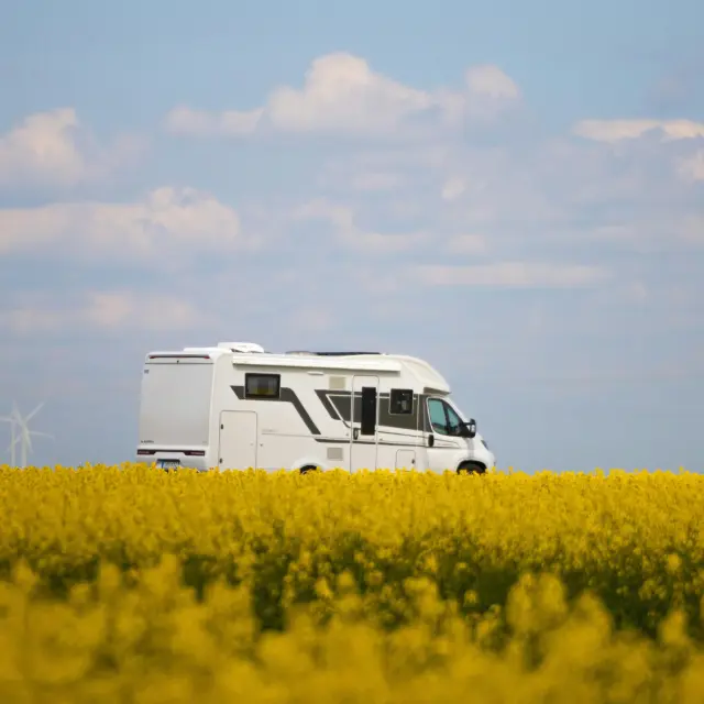 Signebocage Destination Domfront Bagnoles Camping Car Idee Sejour Escapade Famille Court Sejour Bocageornais