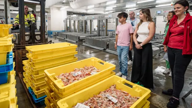 Mercado de pescado de Haliotika - Le Guilvinec