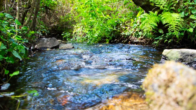 Circuit Train Carottes - Plonéour-Lanvern