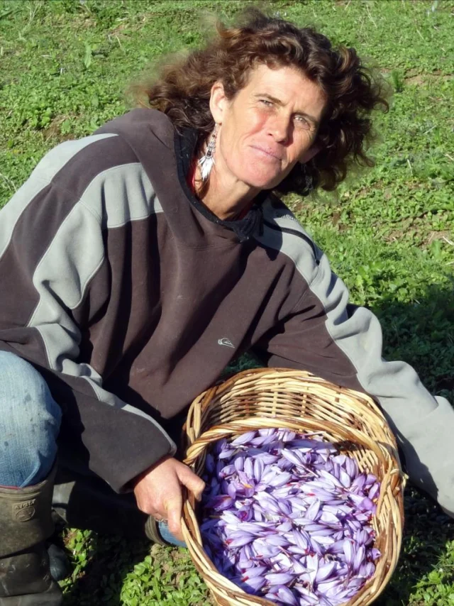 esprit safran pouldreuzic