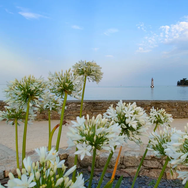 Pointe de l'Île-Tudy