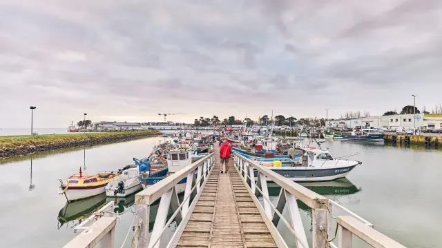 port de peche de Loctudy