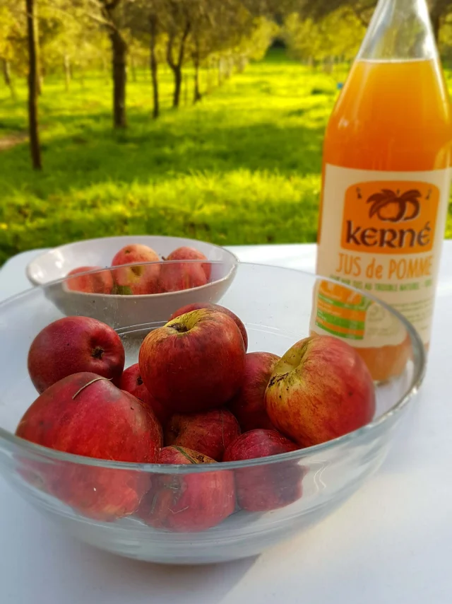 Cidrerie Kerné