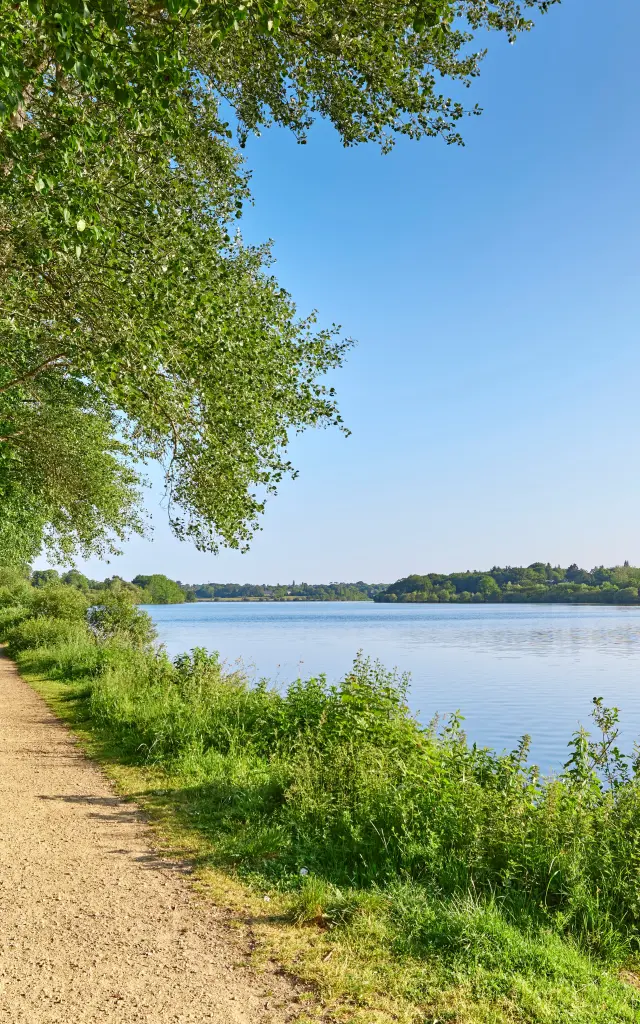 Etang du Moulin Neuf - Ploneour Lanvern