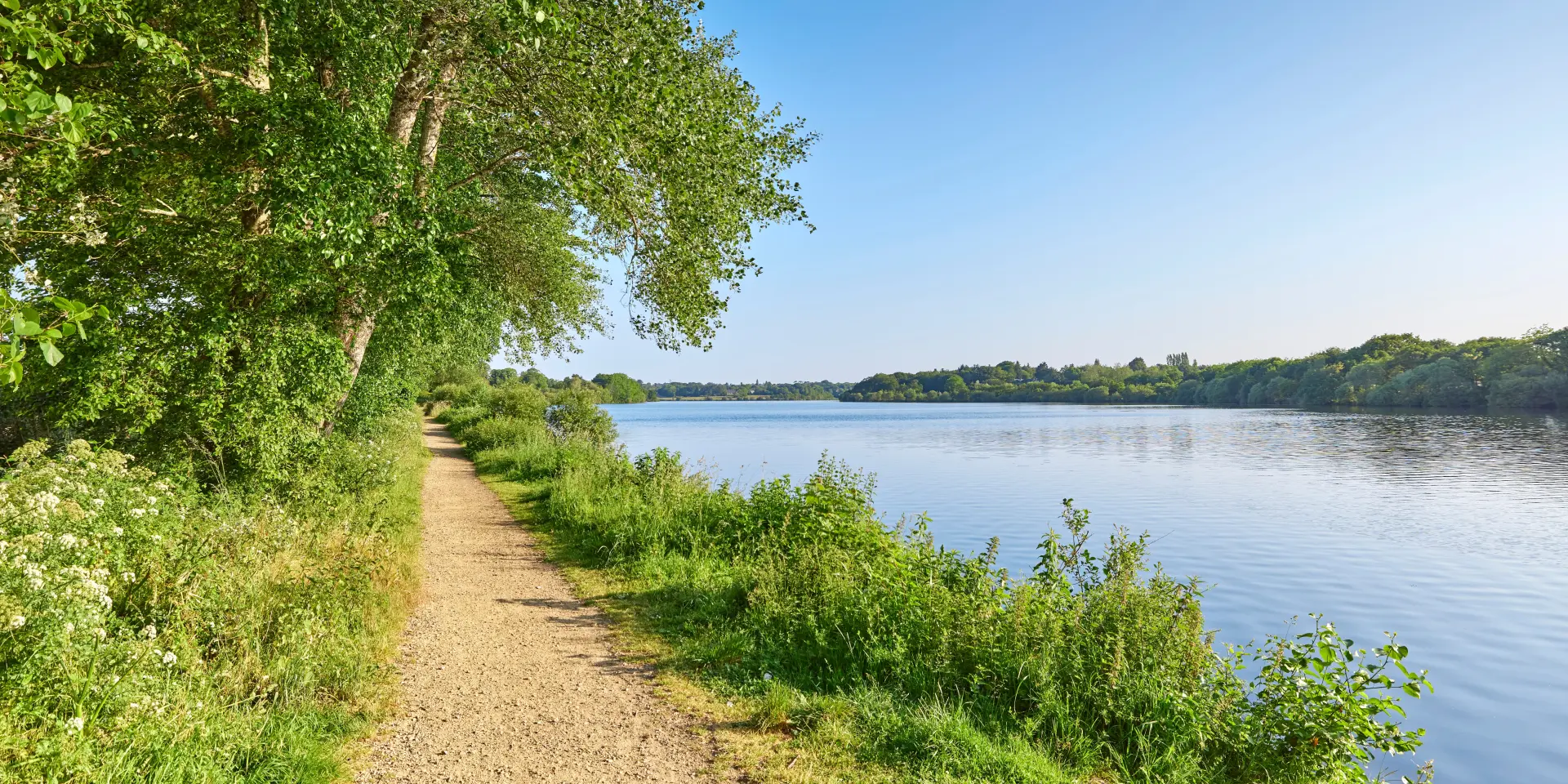 Vijver Moulin Neuf - Ploneour Lanvern