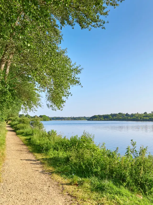 Vijver Moulin Neuf - Ploneour Lanvern
