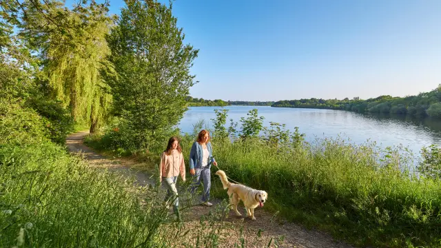 wandeling naar het Etang du Moulin Neuf - Ploneour Lanvern